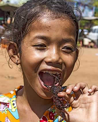 Muching a tasty tarantula in Cambodia